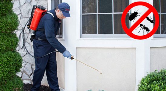 Derepazarı Akrep İlaçlama böcek ilaçlama ve haşere kontrolü — ilaclama-tr.com